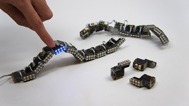 The Modular Revolution: How Interchangeable Robotics are Redefining Smart Toys