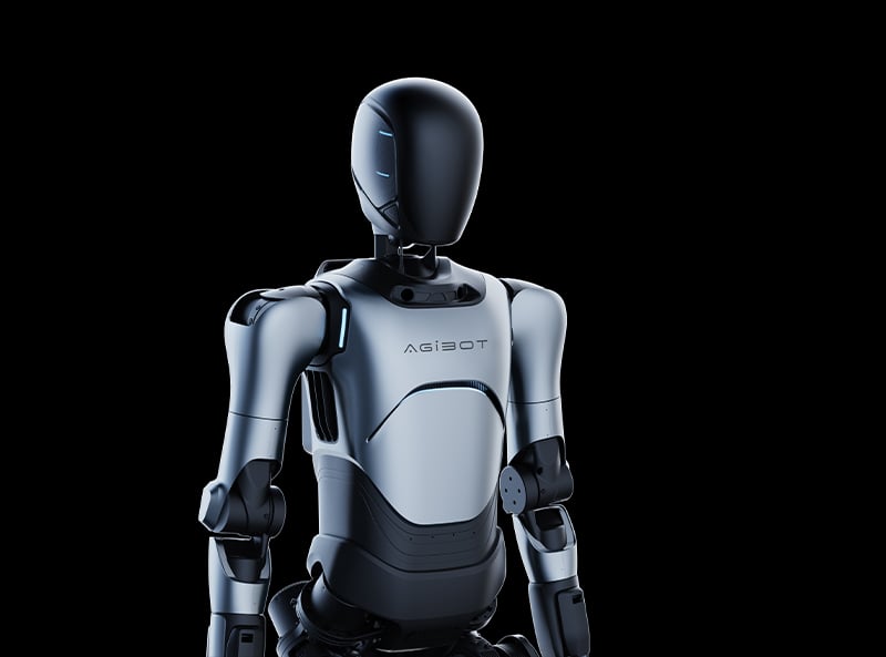 The New Breed: How Bionic Pets and Humanoid Robots Are Redefining Education and Companionship