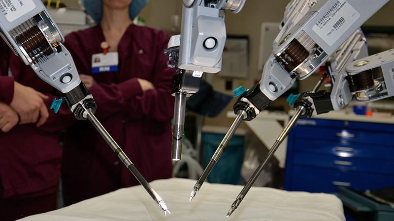 Beyond Blocks: How Collaborative and Bionic Robots are Revolutionizing STEM Education