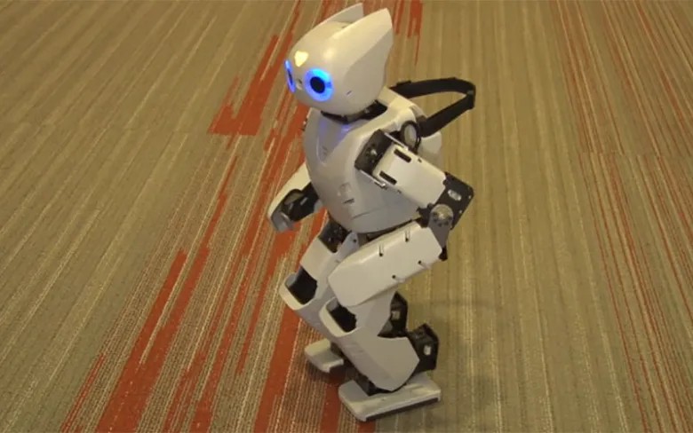 The Humanoid Revolution in the Playroom: More Than Just Toys