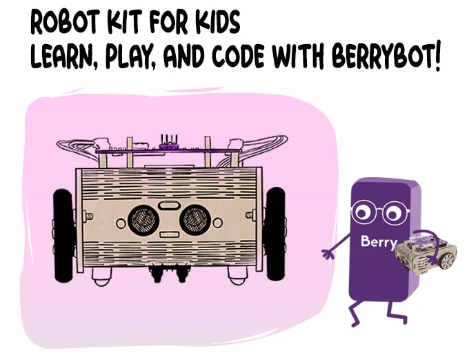 BerryBot - BerryBot Programmable Educational Robot – Picobricks